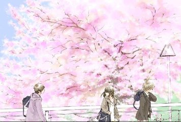 蘑菇官方入口